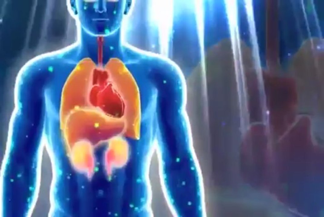 How To Lose Weight Fast W/ Skinny Fiber - 100% Natural!