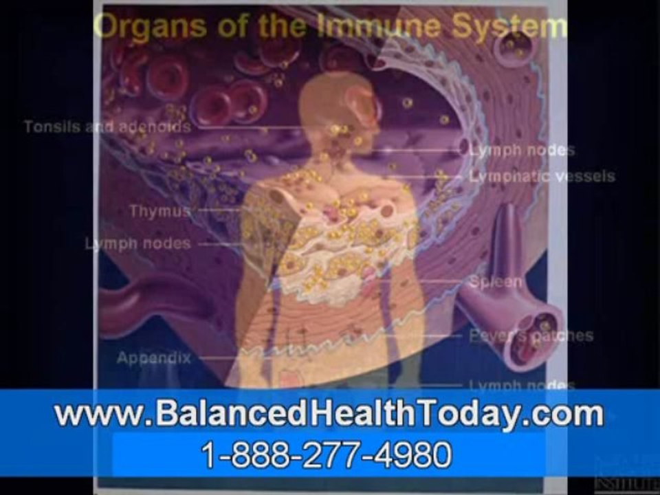 Kidney Cleansing, Function Of Gall Bladder