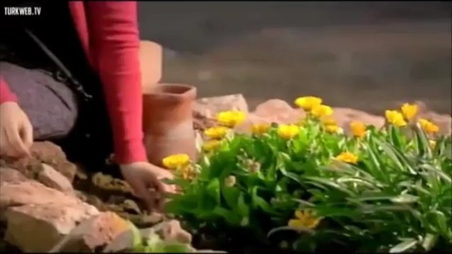 Çağatay Ulusoy and Gizem Karaca - Halo