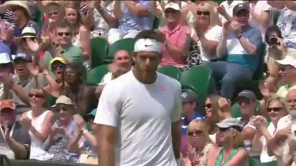 Fantastic passing shot from Del Potro at Wimbledon 2013
