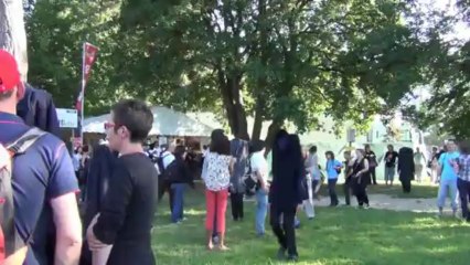 Extrait de The vaccines au festival Beauregard