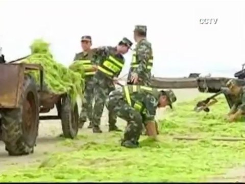 Playa en China se tornó verde por inusual presencia de algas