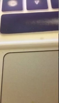 Becoming a Hair Guru 101 Don't Hate the Gurus