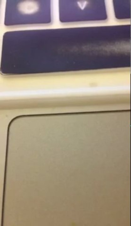 Becoming a Hair Guru 101 Don't Hate the Gurus