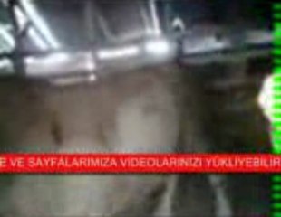 BU HAYVANLAR ALLAH DİYE BAĞIRIYORLAR.