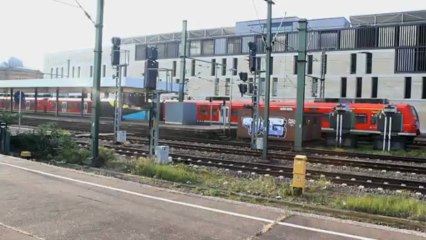 TAPS & MOSES: Quinta Essentia™