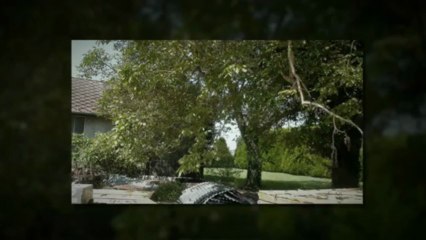 YOUIMMO PROPOSE TROIS TERRAINS A VENDRE SUR COUR CHERVENY 830 - 870 - 940 M²