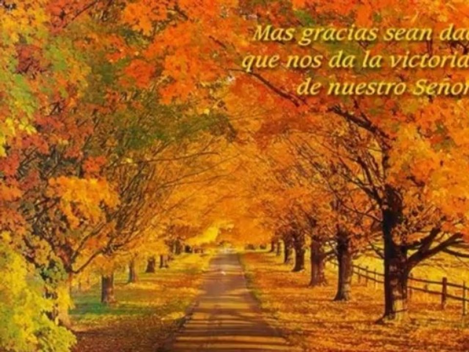 RAUL  HARO( ERES  ETERNO) 30-11-09)