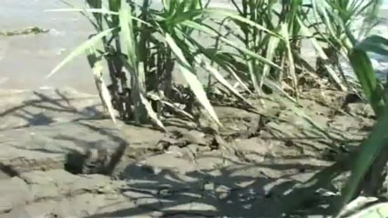 India received 27% more rain than avg. till July