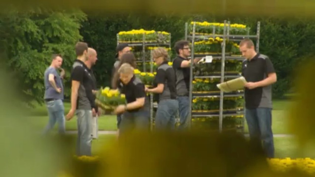 BVB - Mit Flower-Power in die Champions League