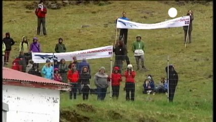 Greenpeace örgütü balinalar için eylemde