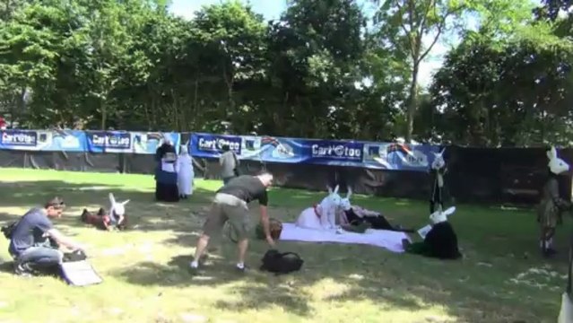 Les lapins du festival Beauregard
