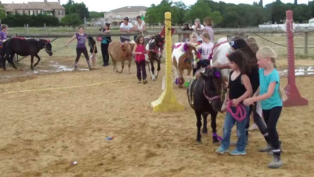 Concours déco poneys juin 2013