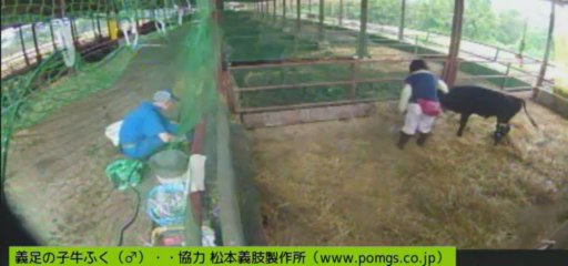 20130630  ありりさん、吉川さん、ちらっともじゃさん、谷さん？他