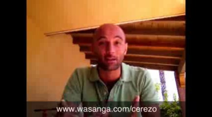 Cual es el mejor multinivel