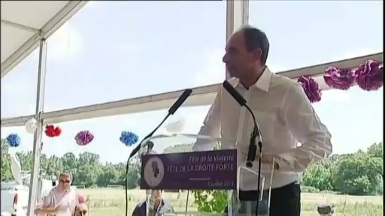 Copé confond "rose" et "violette" lors d'un discours à la première "fête de la Violette"