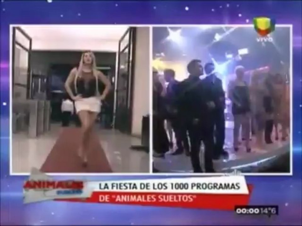 Fiesta de los 1000 programas de Animales Sueltos