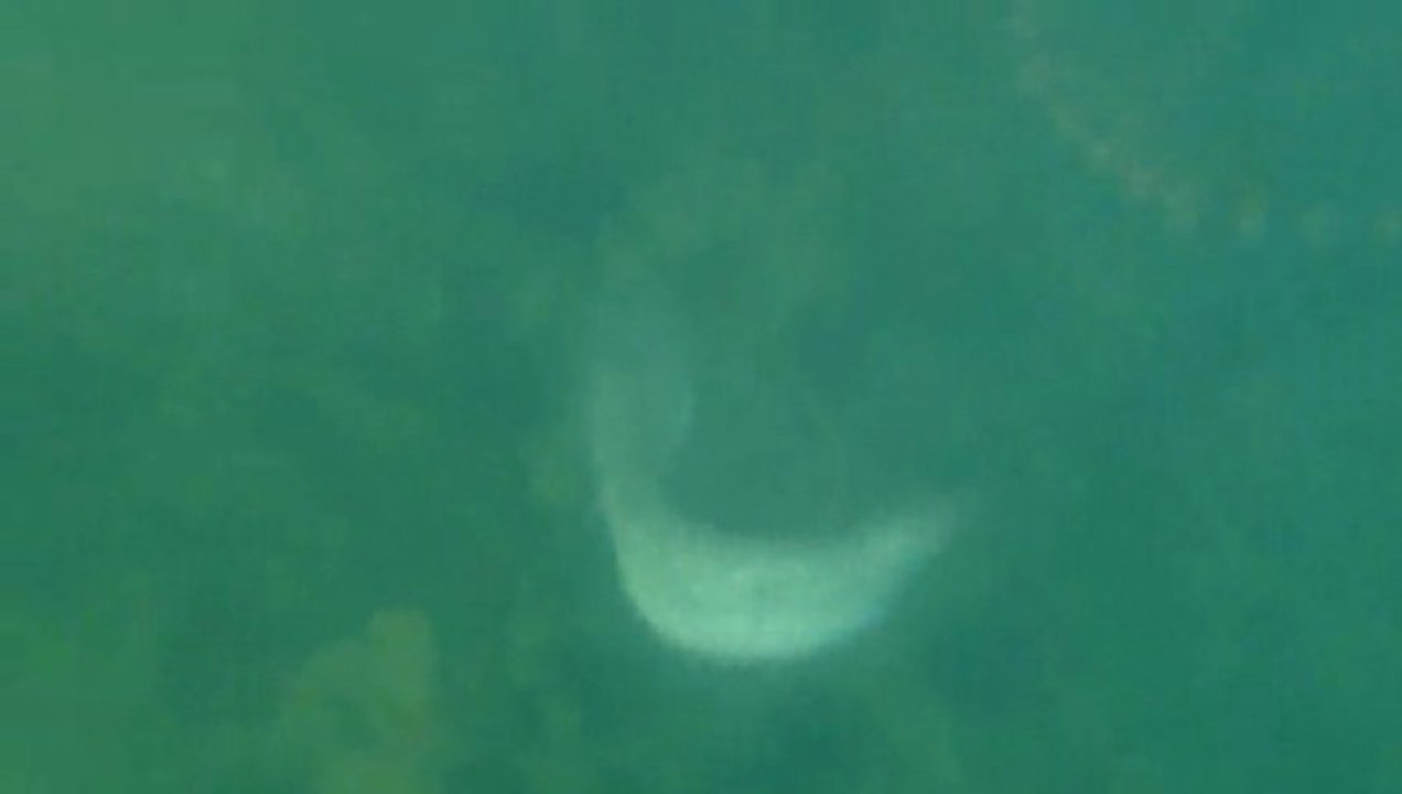 combat de silure en vue sous-marine by Sylvio du F.U.K