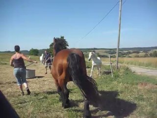 Gamin rejoint enfin ses amis