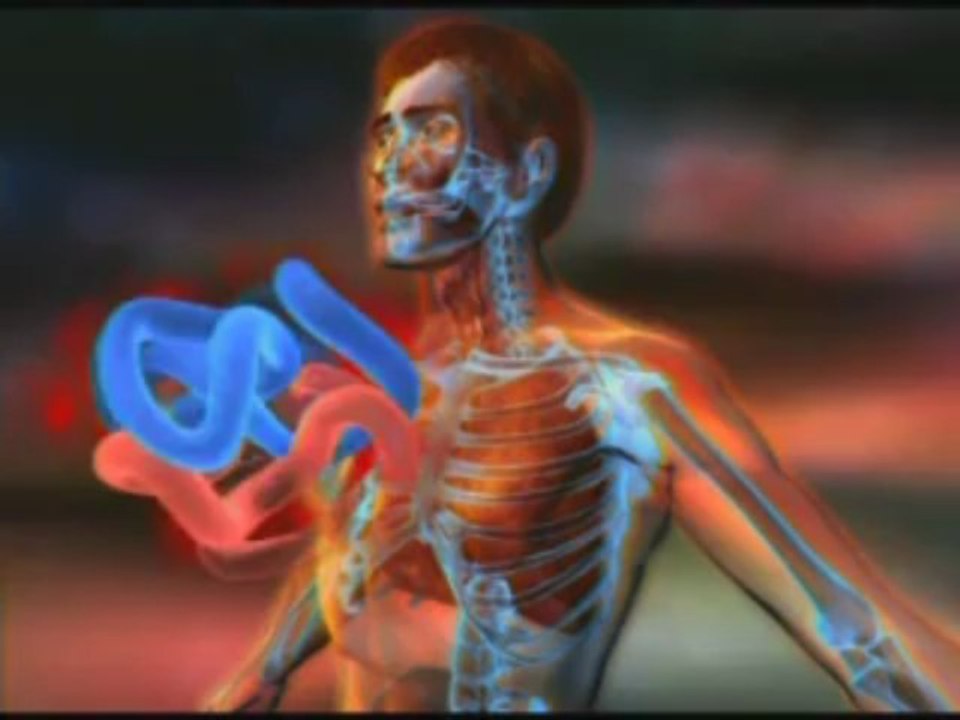 The Miracle of Respiration 5/6 www.harunyahya.com