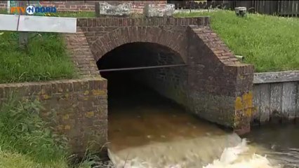 Goud bezig! [6-7-2013] - RTV Noord