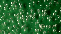 Water bubbles (green background) - Free HD stock footage