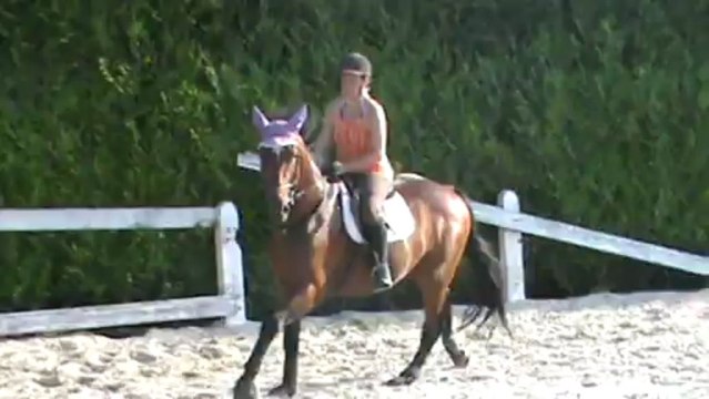 scéance de travail Abaco 6 juillet