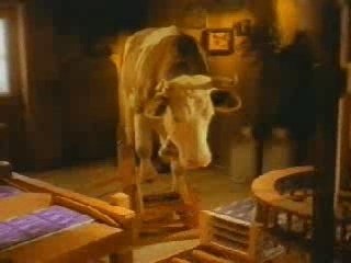 Pub Drole - Milka - La Marmotte