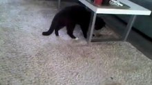 attack