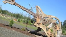 Artist Creates Intricate Driftwood Sculptures