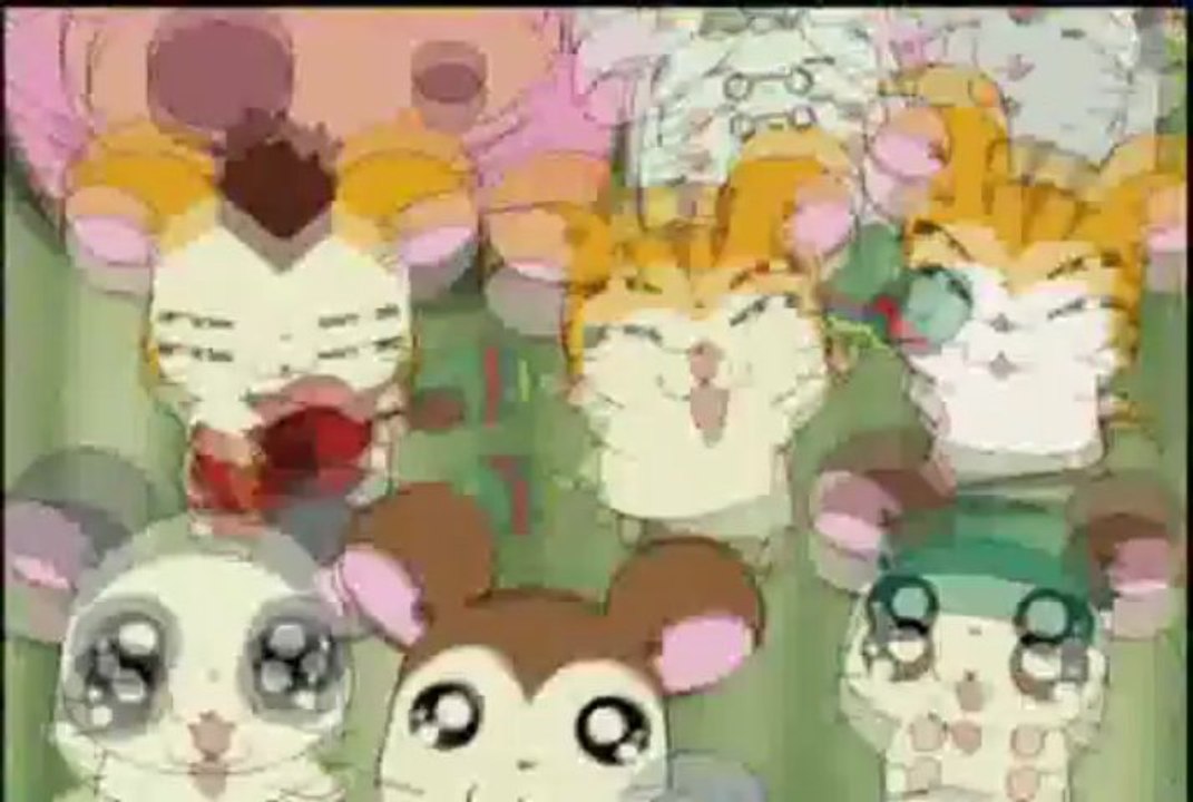 Hamtaro Japanese Opening #3 Final Subbed Version
