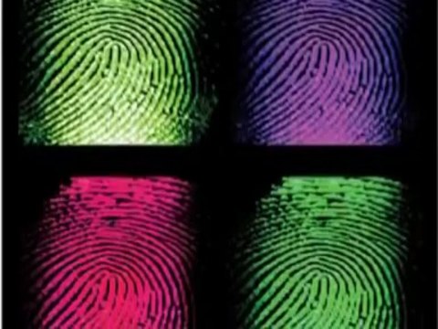 Kuran-ı Kerim Mucizeleri