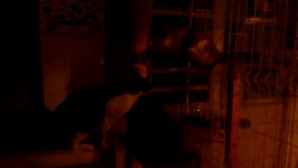 Chuck - Holy et Jules dans la peine ombre ...