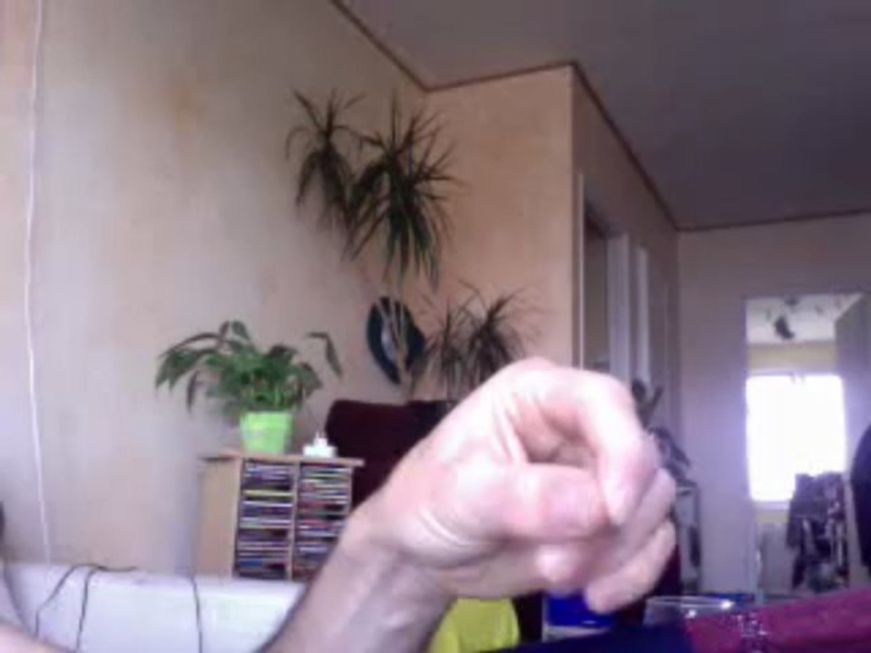 webcam_1373187292277