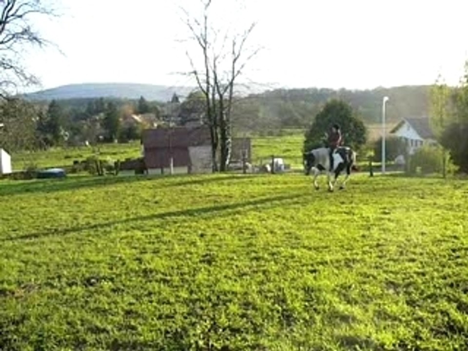 moi ki galope sur indiana