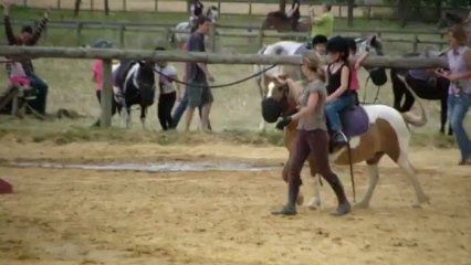 Equifun 2013, Pépito 1