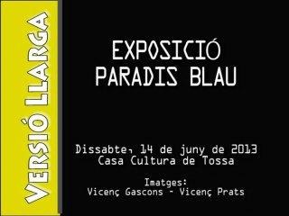 VLL 2013-06-15 Exposicio Casa Cultura (Paradis Blau)