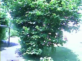 35° dehors malgré le vent