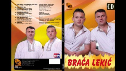 Braca Lekic 2013 - Sinovac