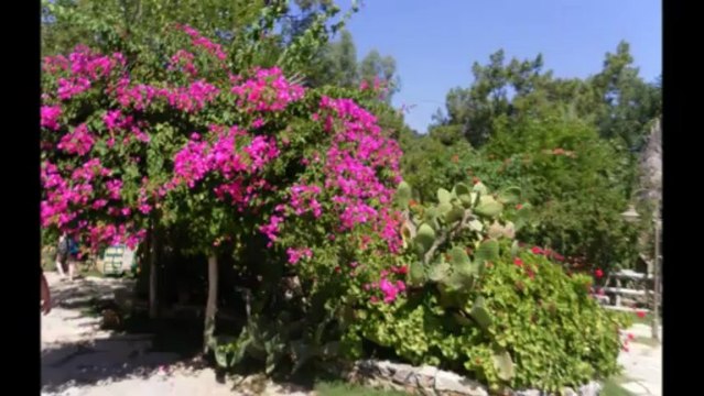 Souvenir de nos vacances - Turquie