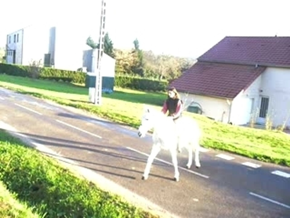 éloïse saute le talut avc comète