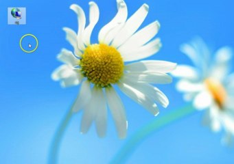 Dns Ayalarını Değiştirme - Delinetciler.net