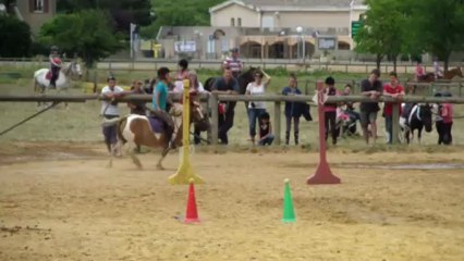 Equifun 2013, Pépito 2
