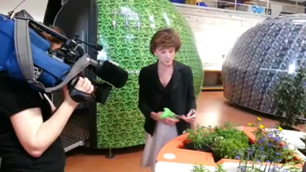 Interview Ministre Delaunay 11 juin 2013 Verdurable part2