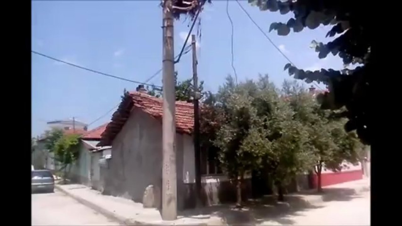 LEYLEK
