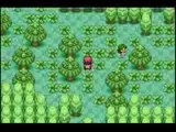 Pokemon Ruby Destiny Reign of Legends GBA Rom Download and VBA Emulator PC