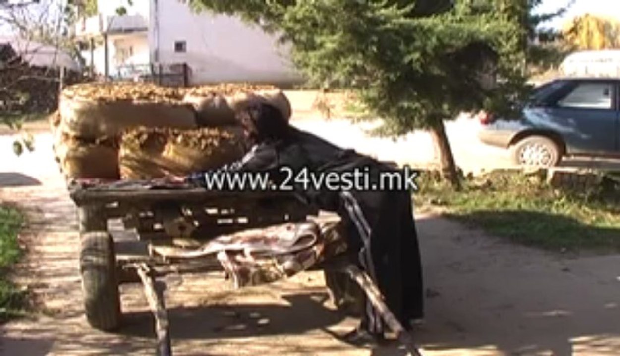 STRUMICA PRILOG TUTUN