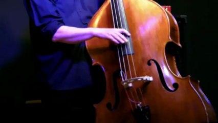 Biréli Lagrène Trio (à Colmar, 08 juin 2013) - Part 1 / 3