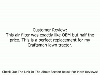 Air Filter for Briggs & Stratton 796031 Review