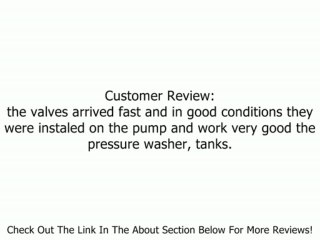Briggs & Stratton 200344GS Valve Kit for Pressure Washers Review